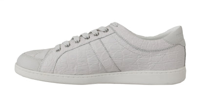 White Caiman Crocodile Sneaker Shoes